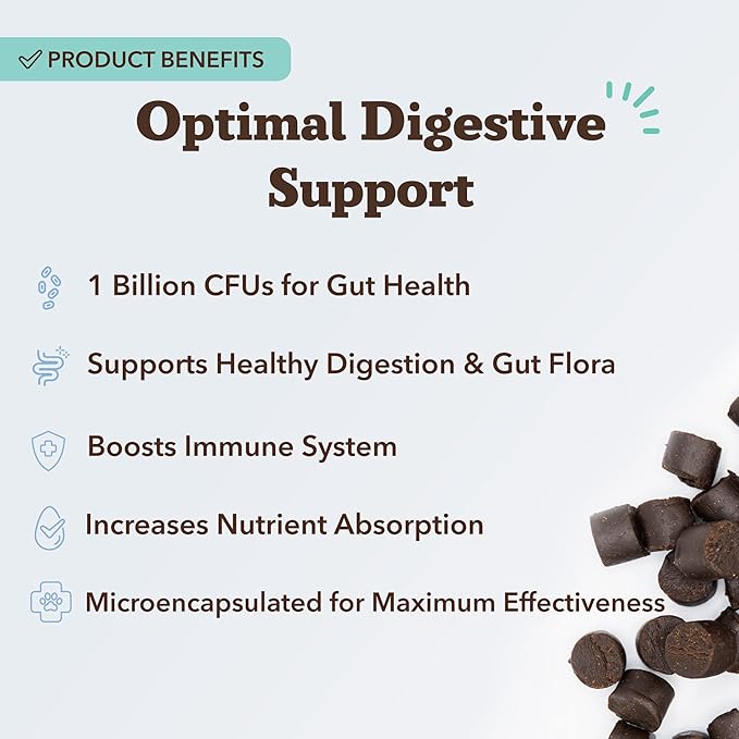 Natural Dog Company Gut Health & Canine Specific Probiotics Chews, 1 Daily Chew for All Dogs, Prebiotics & Digestive Enzymes for Digestion, Gas, Loose Stool, Immune System & Bowel Support, 45 Ct
