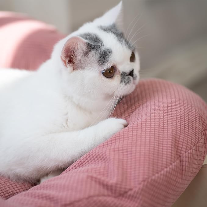 CHEERHOME PETS Elevated Cat Bed Wooden with Cushion Fluffy Pet Couch Sofa for Indoor Cats Raised Kitty Lounge Chair Suitable for Puppy, Cat Furniture(Pink)