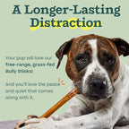 WOOF Bully Sticks Dog Treats - Chew Sticks for Dogs - Long-Lasting Dog Chew Treats - Made with Free-Range, Grass-Fed Beef- 12" Sticks - 25pk