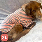 KYEESE 3Pack Dog Sweater Comfy Pet Fleece Sweater Lightweight Dogs Sweatshirt Pullover Dog Sweaters for Small Dogs Girl Stretchy Cat Clothes Cat Sweaters with Sleeves Soft Pet Coat for Cold Weather