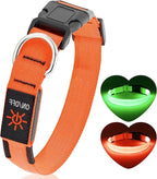 LED Dog Collar - Adjustable, Waterproof, Glow in Dark for Night Walking, Medium Large Dogs