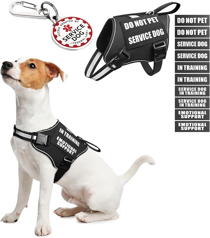 Service Dog Vest Harness+ID Tag+10 Patches,Metal Serivce Dog Tag&Reflective Emotional Support Dog Vest with Handle for Small Dogs,Easy Put On/Off for Training/Walking/Everyday Black XS