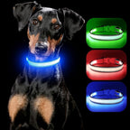 YFbrite Full Adjustbale LED Dog Collar, Full Illuminated Light up Dog Collars, Reflective Dog Collar Light Glowing in The Dark for All Dogs Safety (Medium, Blue-2)