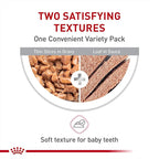 Royal Canin Feline Health Nutrition Kitten Thin Slices in Gravy and Loaf in Sauce Variety Pack Cat Food, 3 oz (Pack of 12)