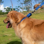 Hyhug Martingale Collar for Dogs Extra Large Blue |Escape - Proof Heavy Duty Nylon Durable No Pull, Ideal for Training & Daily Walks