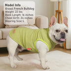 KYEESE 2Pack Dog Sweater Stretchy Dogs Clothes Soft Dachshund Clothes Warm Pet Coats Dog Sweaters for Small Dogs Male Turtleneck Small Pet Sweaters Pullover Pets Sweatshirt