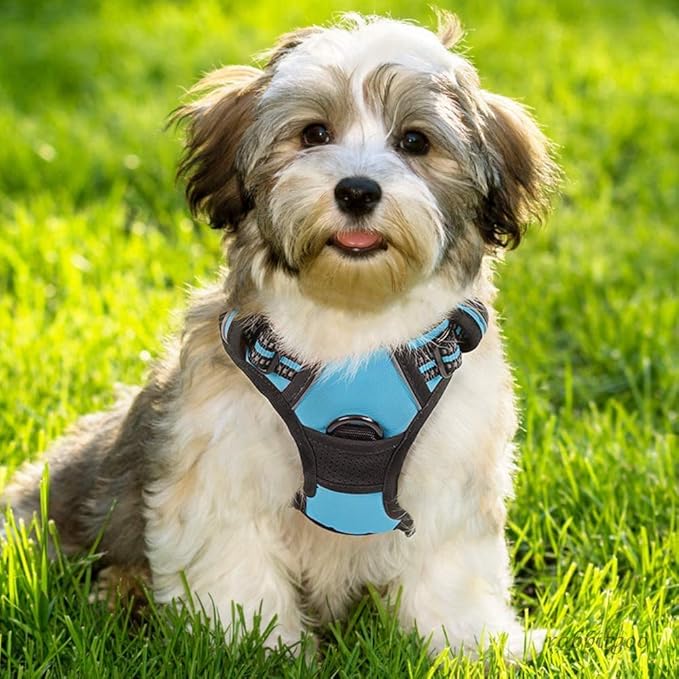 rabbitgoo Dog Harness No Pull with 2 Leash Clips, Adjustable Soft Padded, Reflective Oxford No Choke Pet Vest with Easy Control Handle for Small Dogs, Blue, S