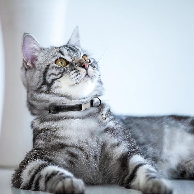 Leather Cat Collar with Buckle and Removable Bell - Non Breakaway Adjustable Soft Safety Small Pet Collars for Girl Boy Cats Kitten (Black)