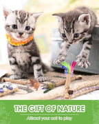 TINDTOP Silvervine Chew Sticks for Cats, Natural Catnip Chew Toys for Kittens Teeth Cleaning, Matatabi Dental Care, Increase Appetite, Calm Cat Anxiety and Stress, Cat Dental Toy (3 Pack)