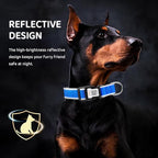 Personalized Dog Collar with QR Code tag for pet ID, Reflective Safety Collar, Suitable for Small, Medium, and Large Dogs (Blue, Medium)