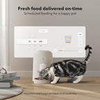 PETLIBRO Automatic Cat Feeder, Wi-Fi Rechargeable Cat Food Dispenser Battery-Operated with 30-Day Life, AIR Timed Pet Feeder for Cat & Dog, 2L Auto Cat Feeder