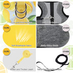 BINGPET Cat Harness and Leash Set Escape Proof for Walking,Step-in Harness with Lightweight Soft Breathable Mesh,Adjustable Easy Control Harness (Sunshine Citrine, M(Chest:10.5-13.5"))