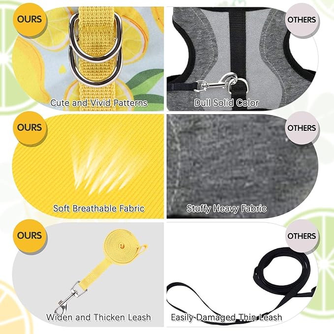 BINGPET Cat Harness and Leash Set Escape Proof for Walking,Step-in Harness with Lightweight Soft Breathable Mesh,Adjustable Easy Control Harness (Sunshine Citrine, M(Chest:10.5-13.5"))