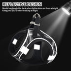 GAMUDA Small Dog Harness Collar and Leash Set, Step in No Chock No Pull Soft Mesh Adjustable Dog Vest Harnesses Plaid Reflective for Dogs Puppy Cats Kitten Rabbit (Black, S)