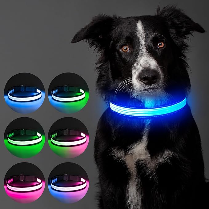 Multi-Color Light up Dog Collar, YFbrite USB Rechargeable LED Puppy Collar Super Bright Adjustable Glowing Dog Lights for Night Walking (Multi-Color, Small)