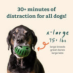 WOOF Starter Pack - Interactive Dog Toys for Boredom - Dog Treat Molds Silicone - Chicken-Flavored Healthy Treats for Dogs - Pupsicle Doggy Enrichment Toy - for XL Pups - 25-75 lbs