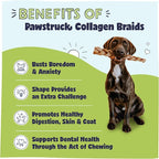 Pawstruck Natural Large 10-13” Beef Collagen Braids for Dogs – Long-Lasting Rawhide & Bully Stick Alternative, with Chondroitin & Glucosamine – 3 Pack