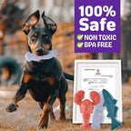 Dog Toys for Aggressive Chewers, 3 Pack Indestructible Dog Chew Toys, Super Chewer Toys with Tough Nylon Bacon Flavor for All Breed Sizes, Teeth Cleaning & Training, Boredom Relief