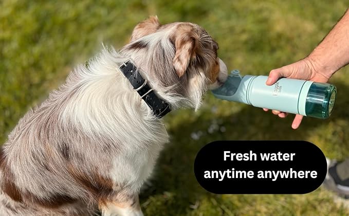 Stainless Steel Dog Travel Water Bottle, Vacuum Insulated Portable Dog Water Dispenser, Drink Cup and Snack Container On The Go, Outdoor Walking, Hiking, Travel (Lavender)