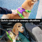 PHOEPET No Pull Dog Harness, Unique Colors Reflective Adjustable Dog Vest, with Soft Training Handle Metal Clips for Small Medium Large Dogs (Purple Base & Green Straps,L)