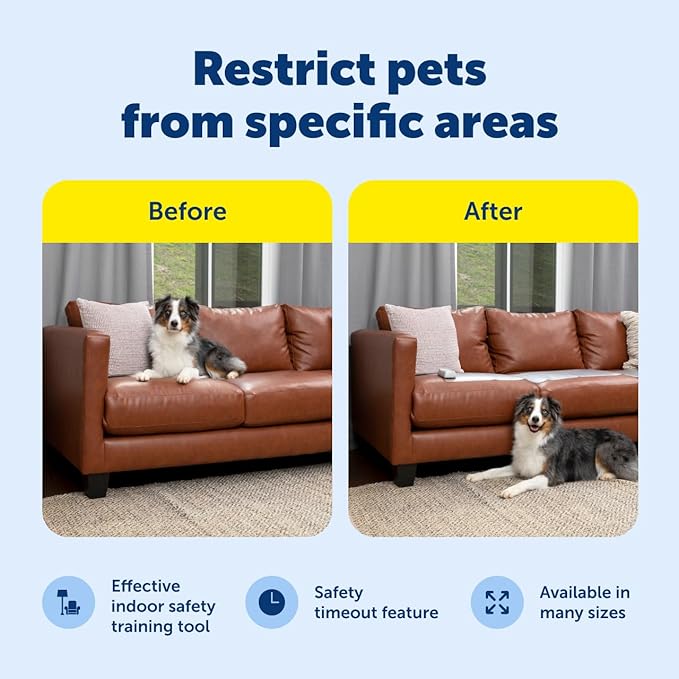 PetSafe ScatMat Indoor Training Mat