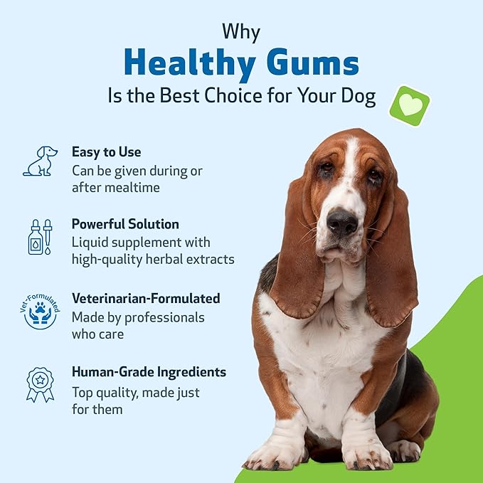 Pet Wellbeing - Healthy Gums for Dogs - Natural Supplement for Healthy Gums, Teeth and Breath Against Dog Gingivitis - 2oz (59ml).