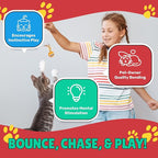 Bouncy Tails 5 Pack Interactive Bouncy Ball with Natural Feathers for Indoor Cats and Kittens who Love to Play and Have Fun.
