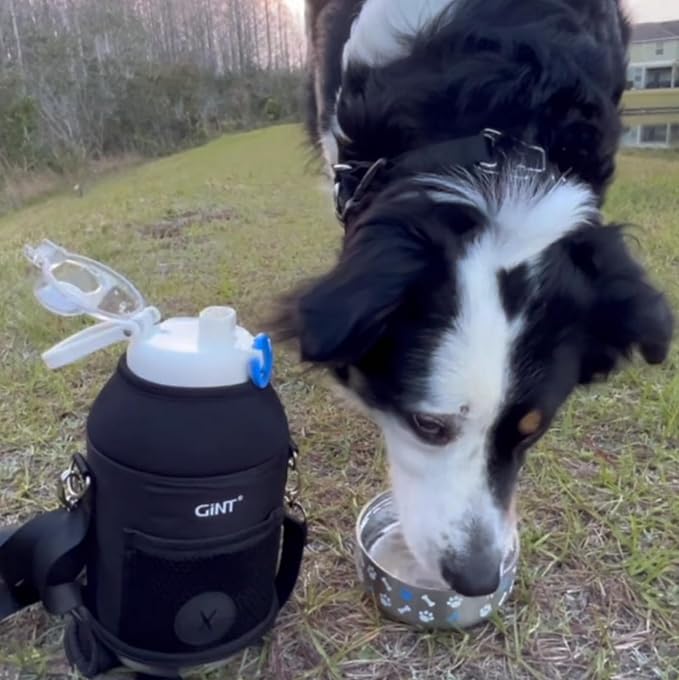 GiNT 37oz Insulated Stainless Steel Dog & Human Water Bottle, All-in-1 Travel Dispenser with Detachable Bowls & Carrying Case, Leak-Proof Pet Canteen for Walking, Hiking, Camping, Car (White)