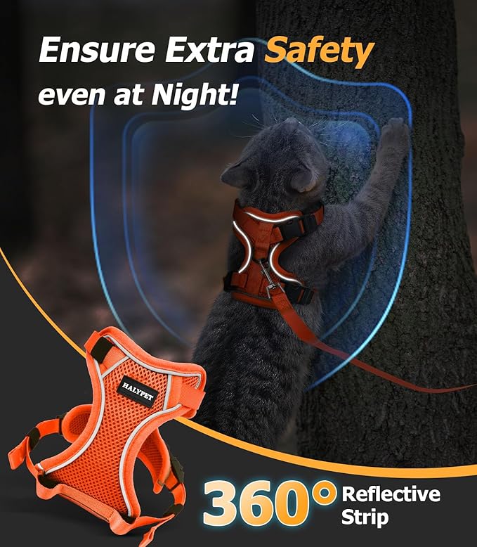 Halypet Cat Harness and Leash Set [MAX Safety 4th-Gen Upgrade] Escape Proof Adjustable Cat Leash Comfortable Soft Vest Easy to Wear Kitten Harness with Reflective Strip for Cats Walking, S Orange