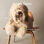 Now Fresh Grain-Free, Dry Dog Food, Real Trout, Salmon and Herring Adult Recipe, All Breed Size, 22 lb Bag