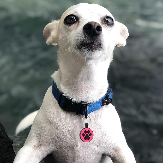 MYLUCKYTAG Silent Silicone QR Code Dog Tags - Scan QR, Receive Instant Pet Location Alert Email