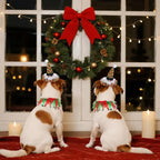 2Pcs Dog Shiny Christmas Hat and Tutu Collar Set, Pet Cats & Small Dogs Christmas Outfit Costume for Xmas Holiday Birthday Party