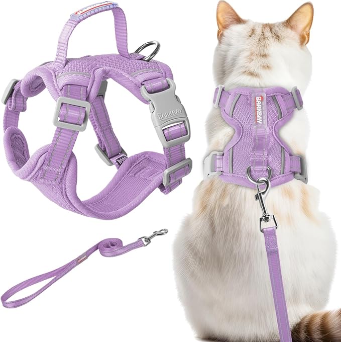 Cat Harness and Leash Set Escape Proof for Kitten Walking, Soft Adjustable Top Handle Vest Harnesses for Cats, Easy Control Breathable Reflective Small Medium Large, Violet Purple, XXS