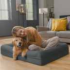 Orthopedic Dog Beds for Large Size Dogs, Waterproof Memory Foam Large Dog Bed with Bolster, Egg-Crate Foam Pet Couch Bed with Removable Washable Cover, Dark Grey