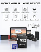 256GB LT100 microSDXC UHS-I Memory Card with Adapter - up to 170MB/s, C10, U3, V30, 4K, A2, Micro SD Card for Smartphones, Tablets, Cameras, Gaming Consoles, and Drones (1 Pack)