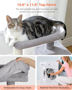 32" Cat Tree Tower for Indoor Cats - 2 Cozy Condos, Multi-Level Cat Scratching Posts with Sisal, Soft Padded Perch, 2 Dangling Toys, Light Grey