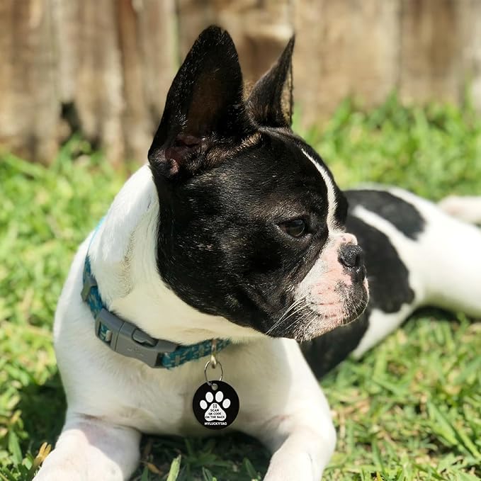 MYLUCKYTAG QR Code Stainless Steel Personalized Dog ID Tag, Engraved Dog Collar Tag, Digital Pet Profile, Pet Location Alert Email