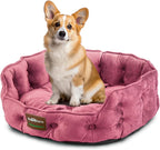 ClevaHome Cat Dog Bed for Small Pets up to 15lbs - Round Cat Beds for Indoor Cats, Machine Washable Comfortable Pet Bed for Puppy and Kitten with Non-Slip Bottom (Plum Pink)