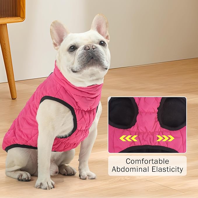 SCENEREAL Dog Winter Coat - Warm Puppy Jacket with Built-in Harness, Waterproof, Fleece Puffer Vest, Windproof Snow Clothes for Small to Medium Dogs
