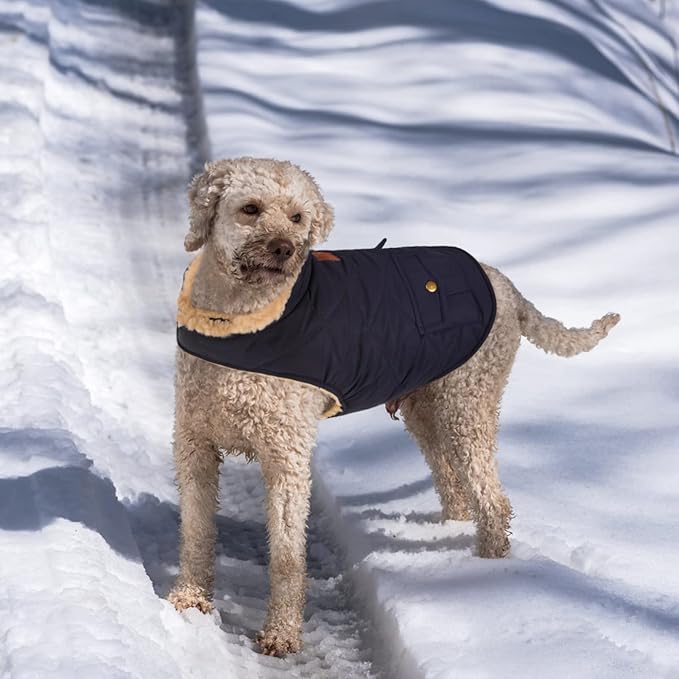 Queenmore Warm Puffer Dog Jacket, Quilting Winter Coat Ultra Thick Plush Lining with Storage Pockets (Dark Navy, X-Small)