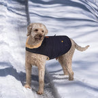 Queenmore Warm Puffer Dog Jacket, Quilting Winter Coat Ultra Thick Plush Lining with Storage Pockets (Dark Navy, X-Small)