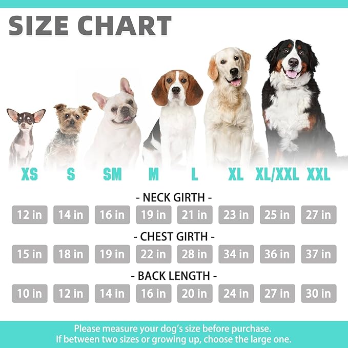 KOOLTAIL Basic Dog Hoodie - Soft and Warm Dog Hoodie Sweater with Leash Hole and Pocket, Dog Winter Coat, Cold Weather Clothes Sweatshirt for Small Medium Large Dogs Puppy Cat Boys Girls XL/XXL