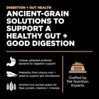 Go! Solutions Digestion + Gut Health, Dry Cat Food, Salmon Recipe with Ancient Grains, 16 lb Bag