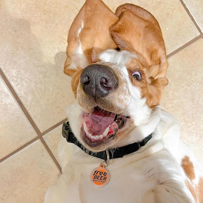 Personalized QR Code Dog Tags - Choose from 25+ Tag Designs - QR Code Links to Your Profile - Unique, Cute, Funny, Sassy Pet ID Tag (Free Beer Upon Return, Large (1.25 inch))