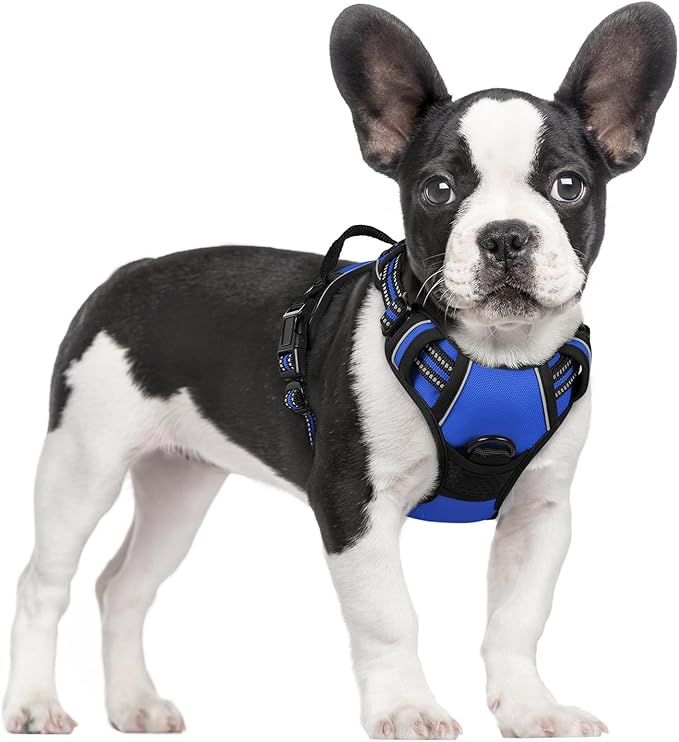 rabbitgoo Dog Harness No Pull with 2 Leash Clips, Adjustable Soft Padded, Reflective Oxford No Choke Pet Vest with Easy Control Handle for Small Dogs, Dazzling Blue, S