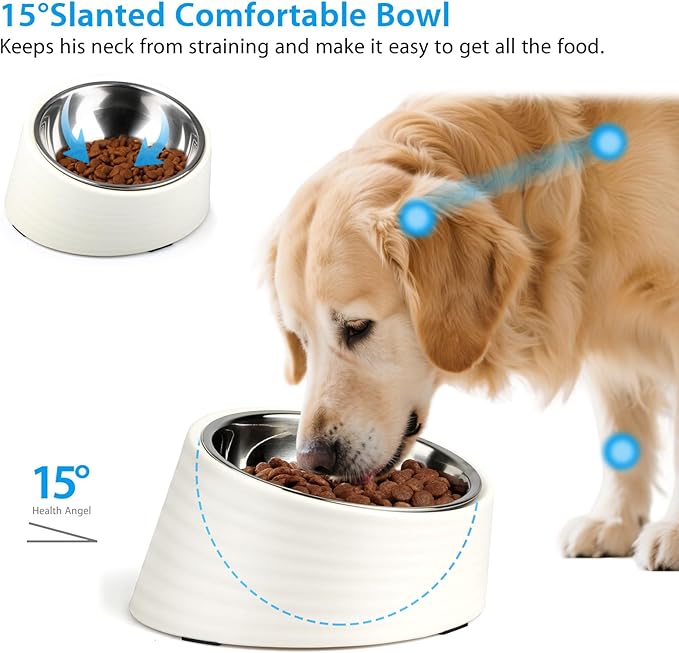 Tilted Angle Dog Bowl, 15° Slanted Stainless Steel Dog Cat Food Bowl, Non-Slip & Non-Spill Pet Feeder with Elevated Detachable Melamine Stand, Easy to Get Food Dish, Large 2 Cup White