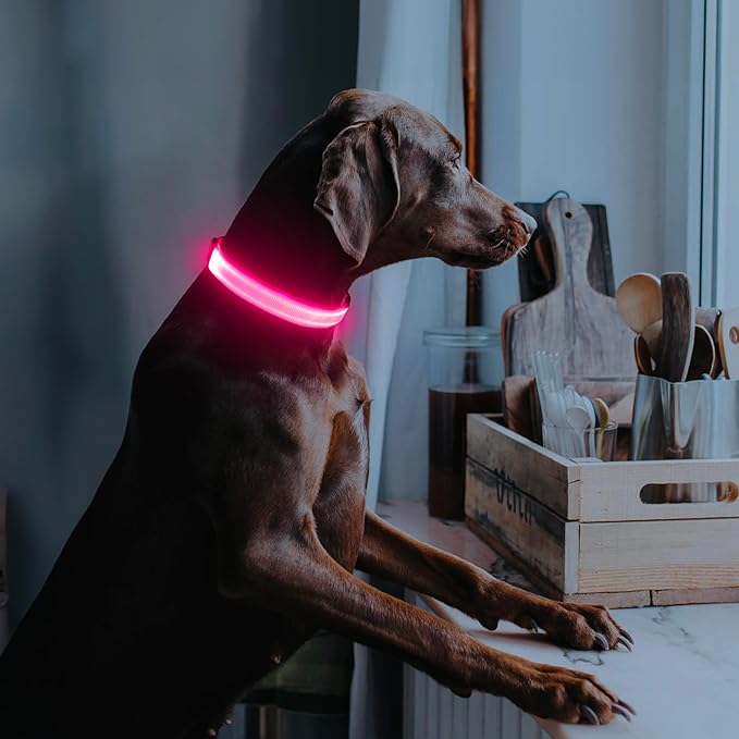 Illumifun LED Dog Collar USB Rechargeable Light Up Dog Collar, Water-Resistant Adjustable Safety Collar Light for Small Medium Large Dogs Glow in The Dark (Pink, Large)