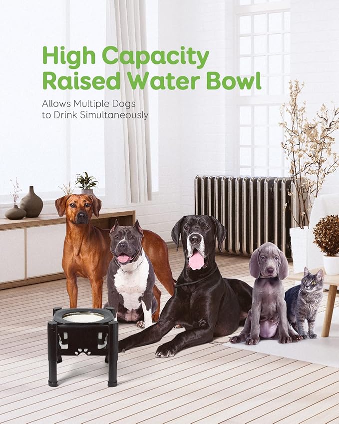 Pawque Elevated Dog Bowls, 80Oz Stainless Steel Water Feeder with 3 Adjustable Heights, Anti-Spill Design for Small to Medium Sized Dogs
