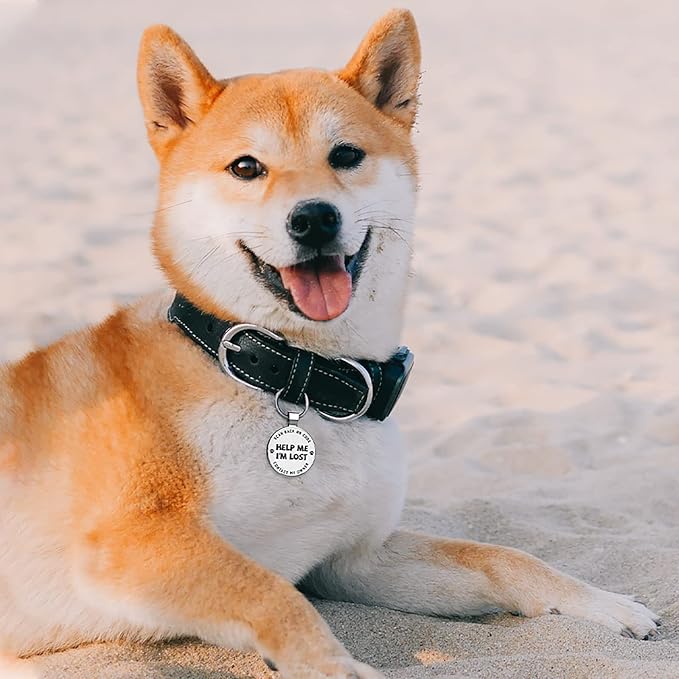 MYLUCKYTAG QR Code Dog Tags - Scan for Instant Pet Location Alert Email