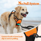 rabbitgoo Dog Harness No Pull with 2 Leash Clips, Adjustable Soft Padded, Reflective Oxford No Choke Pet Vest with Easy Control Handle for Medium Sized Dogs,Orange, M